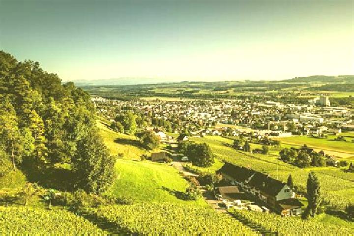 11 escort profiles in Weinfelden, Switzerland. Browse companions, services, rates and book online. Incall and outcall available.