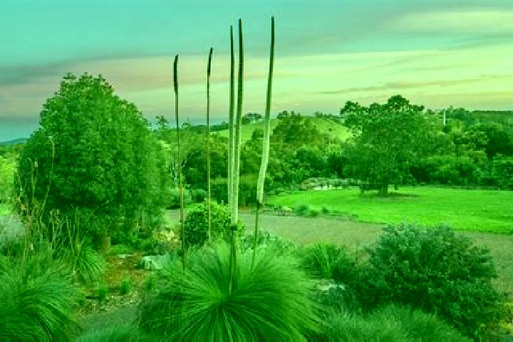 11 escort profiles in Windsor Gardens, Australia. Browse companions, services, rates and book online. Incall and outcall available.