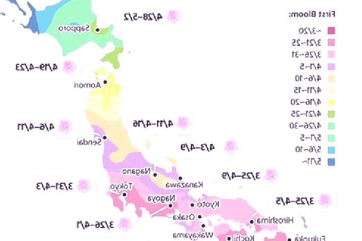 12 escort profiles in Akkeshi, Japan. Browse companions, services, rates and book online. Incall and outcall available.