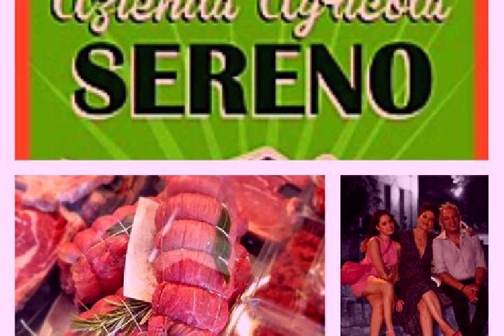 12 escort profiles in Alpignano, Italy. Browse companions, services, rates and book online. Incall and outcall available.