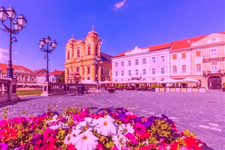 12 escort profiles in Arefu, Romania. Browse companions, services, rates and book online. Incall and outcall available.