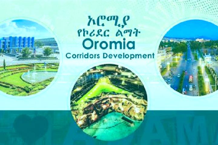 12 escort profiles in Bedesa, Ethiopia. Browse companions, services, rates and book online. Incall and outcall available.
