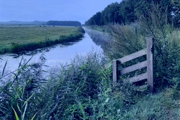 12 escort profiles in De Knipe, Netherlands. Browse companions, services, rates and book online. Incall and outcall available.