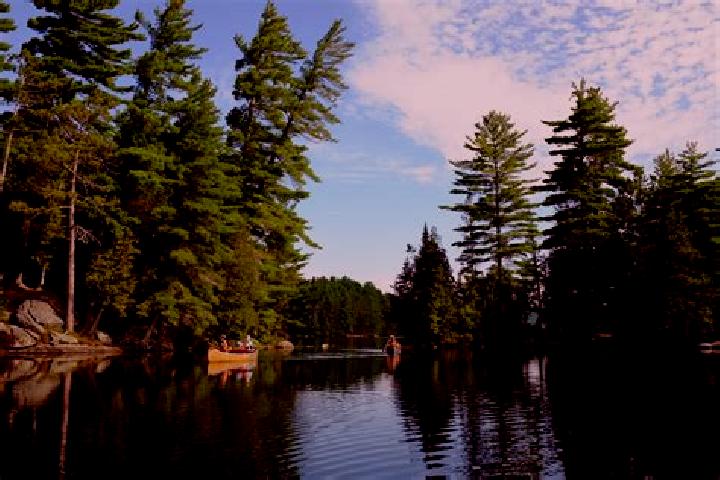 12 escort profiles in Elliot Lake, Canada. Browse companions, services, rates and book online. Incall and outcall available.