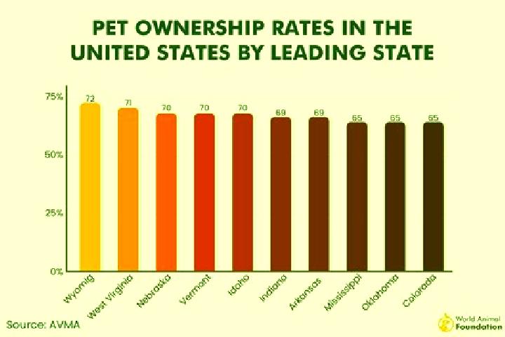 12 escort profiles in Fort Madison, United States. Browse companions, services, rates and book online. Incall and outcall available.