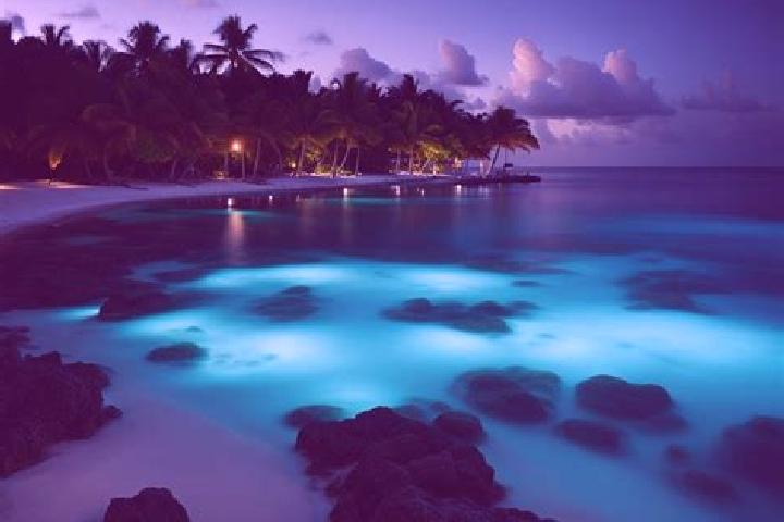12 escort profiles in Half Moon Bay, Cayman Islands. Browse companions, services, rates and book online. Incall and outcall available.