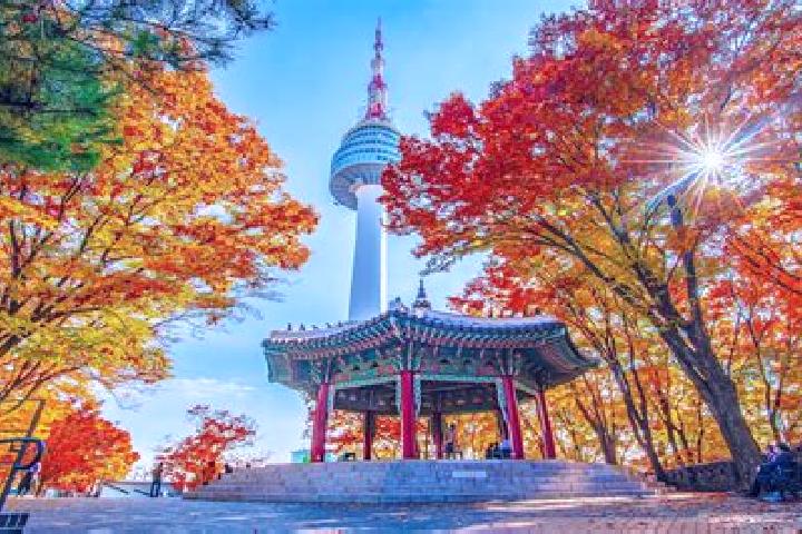 12 escort profiles in Hwanggan, South Korea. Browse companions, services, rates and book online. Incall and outcall available.