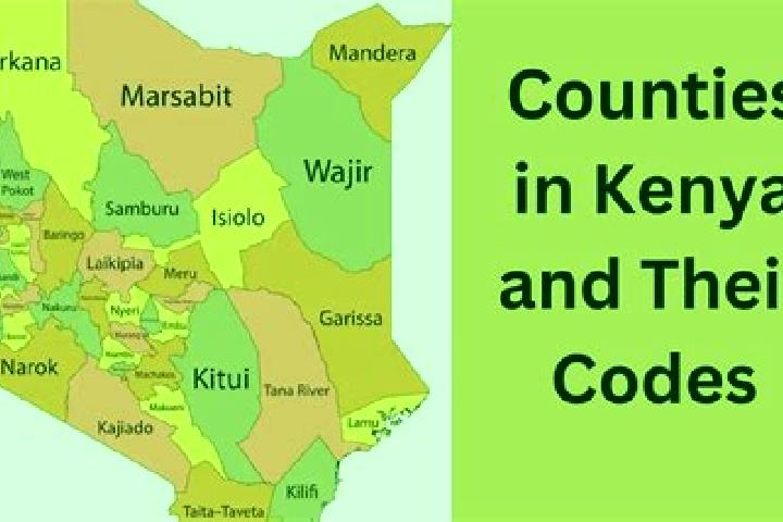 12 escort profiles in Kenyenya, Kenya. Browse companions, services, rates and book online. Incall and outcall available.