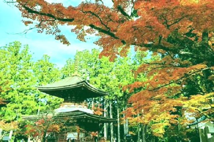 12 escort profiles in Koya, Japan. Browse companions, services, rates and book online. Incall and outcall available.