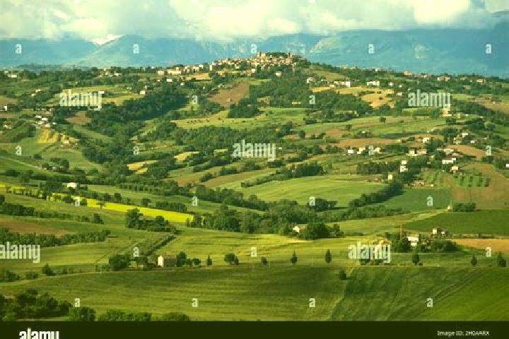 12 escort profiles in Loro Piceno, Italy. Browse companions, services, rates and book online. Incall and outcall available.