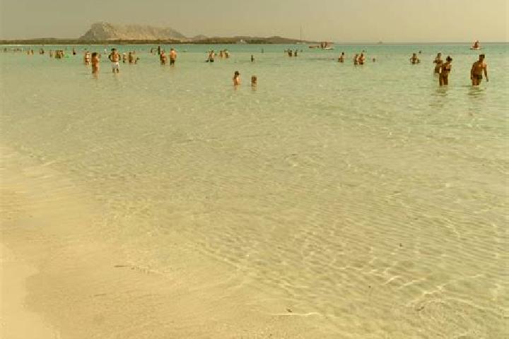 12 escort profiles in San Teodoro, Italy. Browse companions, services, rates and book online. Incall and outcall available.