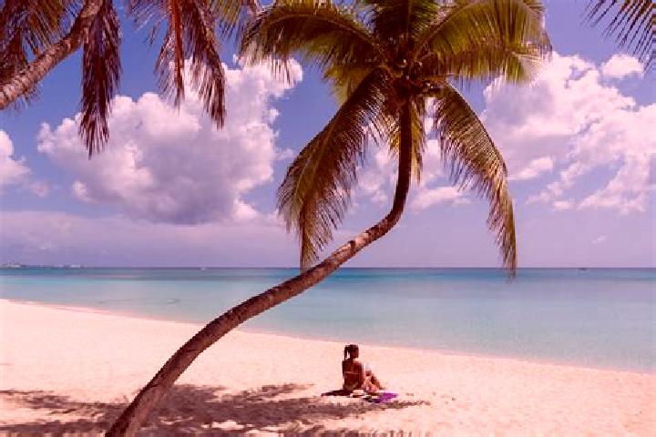12 escort profiles in Seven Miles, Cayman Islands. Browse companions, services, rates and book online. Incall and outcall available.