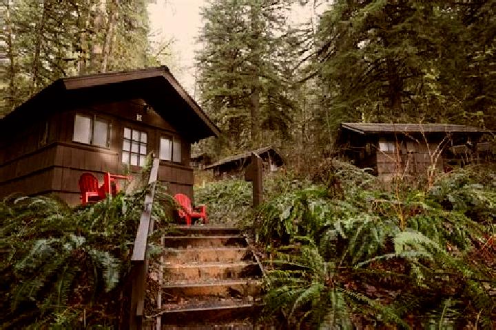 12 escort profiles in Smith Creek, Canada. Browse companions, services, rates and book online. Incall and outcall available.