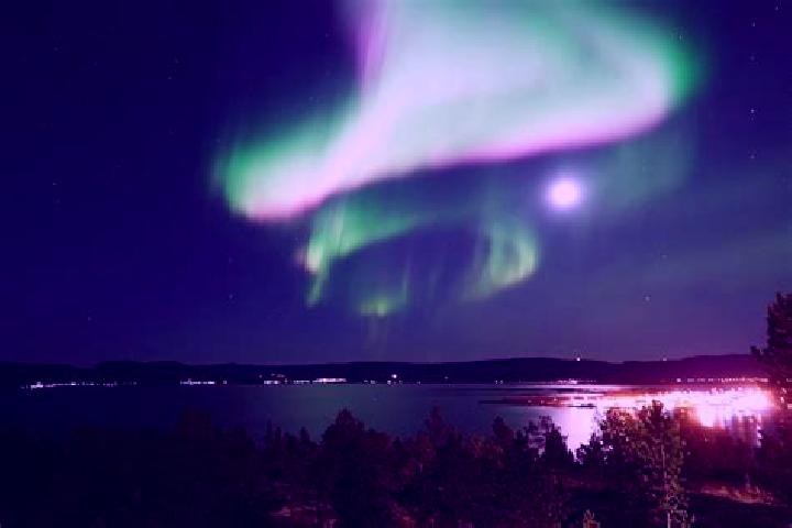 12 escort profiles in Stamsund, Norway. Browse companions, services, rates and book online. Incall and outcall available.