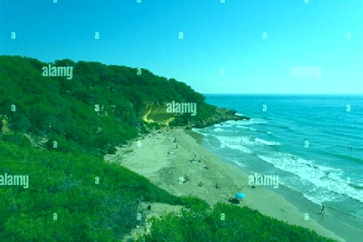 12 escort profiles in Tamarit de Llitera / Tamarite de Litera, Spain. Browse companions, services, rates and book online. Incall and outcall available.