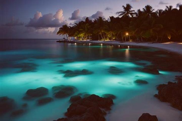 12 escort profiles in West Bay, Cayman Islands. Browse companions, services, rates and book online. Incall and outcall available.