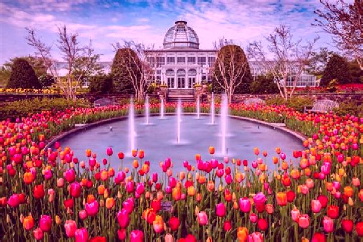 12 escort profiles in Winter Gardens, United States. Browse companions, services, rates and book online. Incall and outcall available.