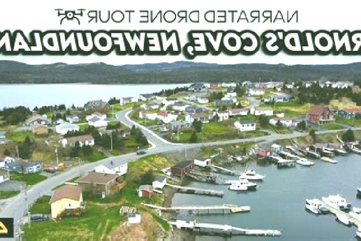 13 escort profiles in Arnold s Cove, Canada. Browse companions, services, rates and book online. Incall and outcall available.