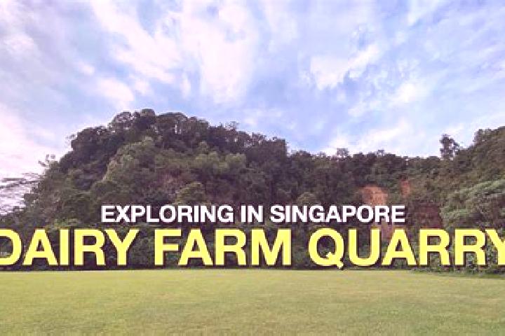 13 escort profiles in Dairy Farm, Singapore. Browse companions, services, rates and book online. Incall and outcall available.