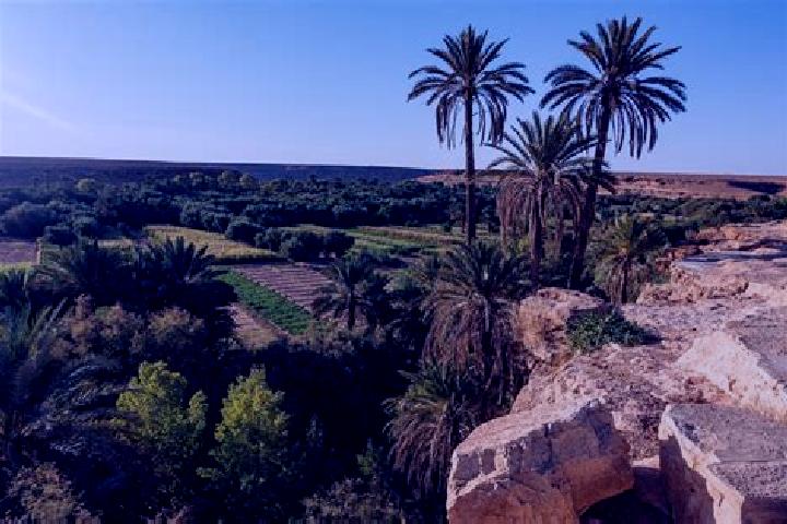 13 escort profiles in Errachidia, Morocco. Browse companions, services, rates and book online. Incall and outcall available.