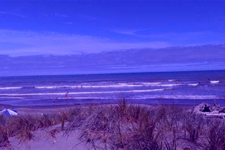 13 escort profiles in Foxton Beach, New Zealand. Browse companions, services, rates and book online. Incall and outcall available.