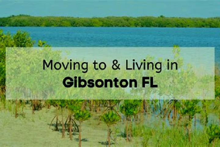 13 escort profiles in Gibsonton, United States. Browse companions, services, rates and book online. Incall and outcall available.