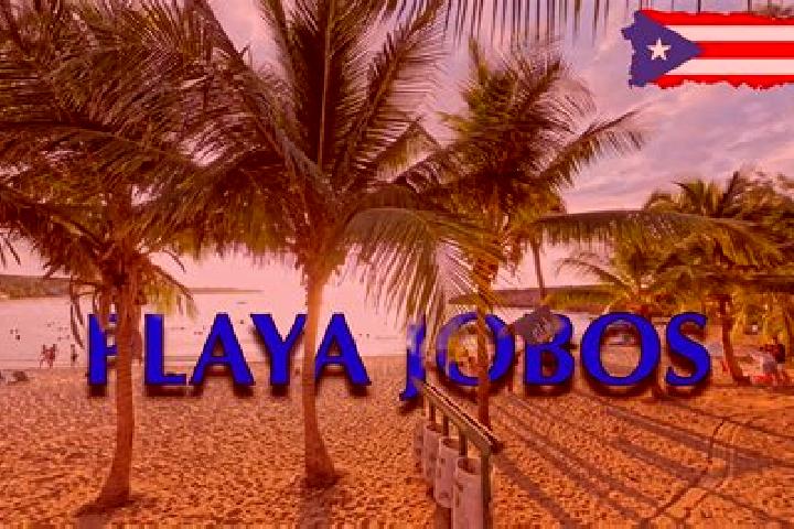 13 escort profiles in Jobos, Puerto Rico. Browse companions, services, rates and book online. Incall and outcall available.