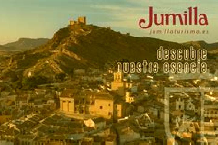 13 escort profiles in Jumilla, Spain. Browse companions, services, rates and book online. Incall and outcall available.