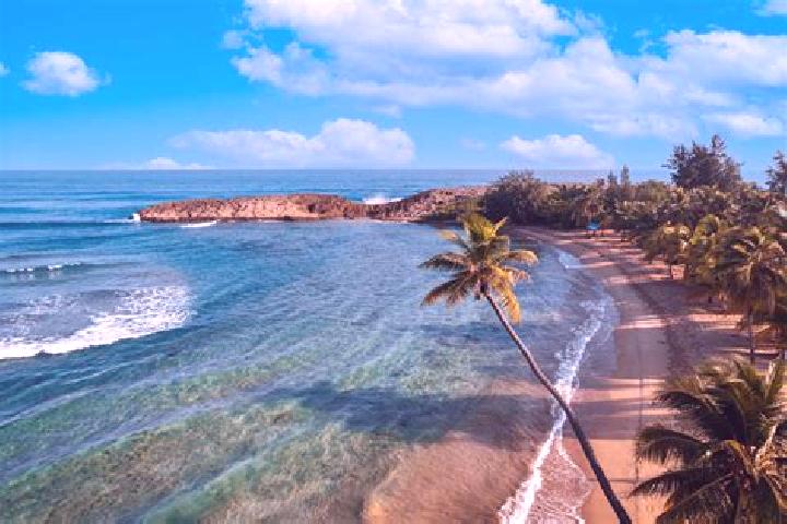 13 escort profiles in La Playa, Puerto Rico. Browse companions, services, rates and book online. Incall and outcall available.