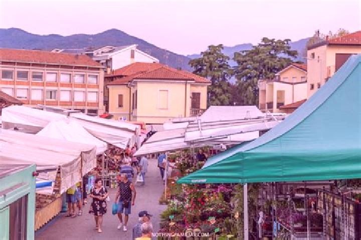 13 escort profiles in Luino, Italy. Browse companions, services, rates and book online. Incall and outcall available.
