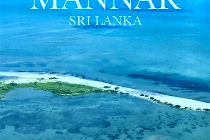 13 escort profiles in Mannar, Sri Lanka. Browse companions, services, rates and book online. Incall and outcall available.