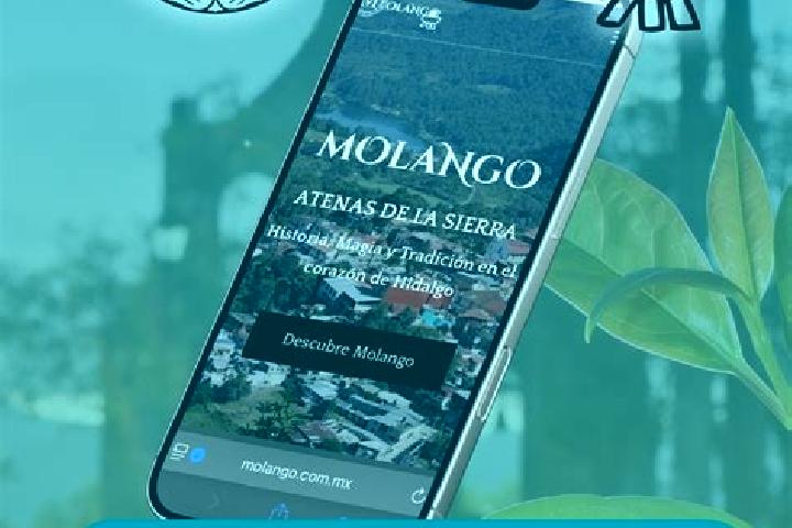 13 escort profiles in Molango, Mexico. Browse companions, services, rates and book online. Incall and outcall available.