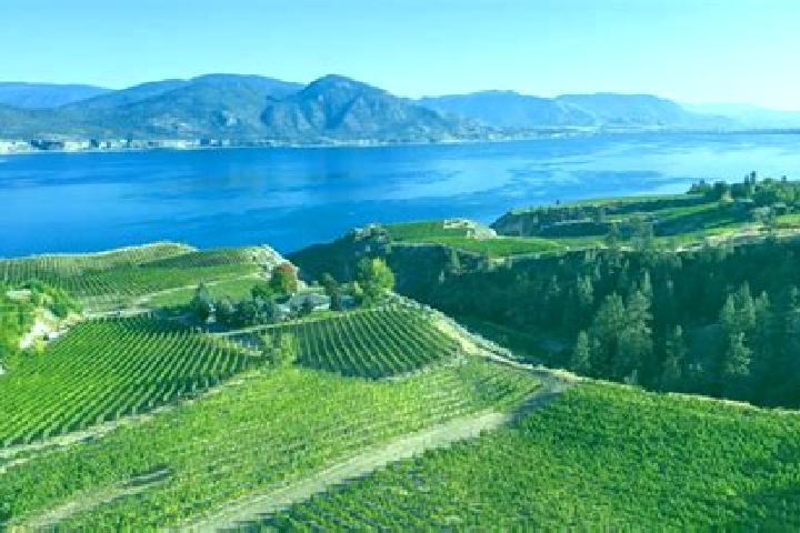 13 escort profiles in Naramata, Canada. Browse companions, services, rates and book online. Incall and outcall available.