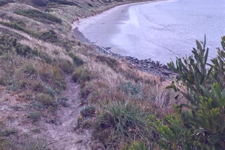 13 escort profiles in Primrose Sands, Australia. Browse companions, services, rates and book online. Incall and outcall available.