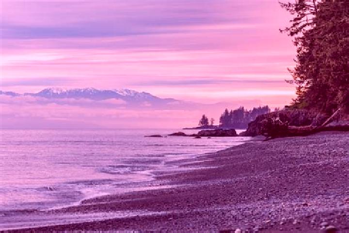 13 escort profiles in Qualicum Beach, Canada. Browse companions, services, rates and book online. Incall and outcall available.