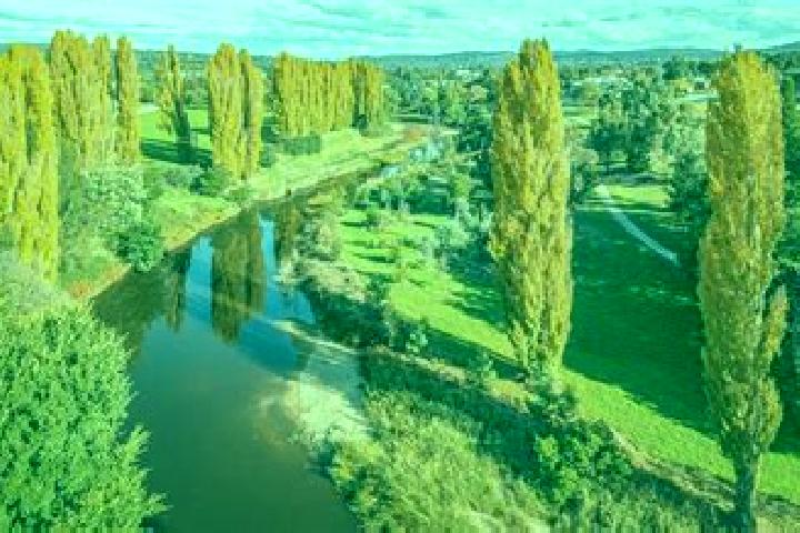 13 escort profiles in Queanbeyan West, Australia. Browse companions, services, rates and book online. Incall and outcall available.