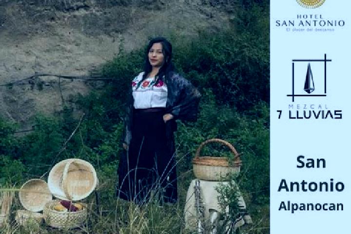 13 escort profiles in San Antonio Alpanocan, Mexico. Browse companions, services, rates and book online. Incall and outcall available.