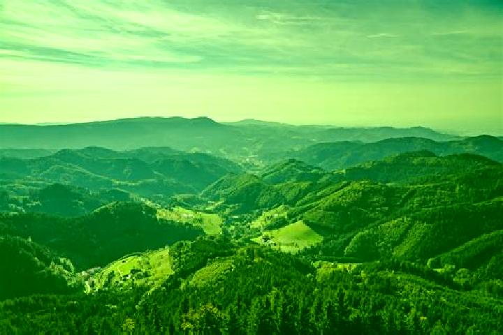 13 escort profiles in Schoenau im Schwarzwald, Germany. Browse companions, services, rates and book online. Incall and outcall available.