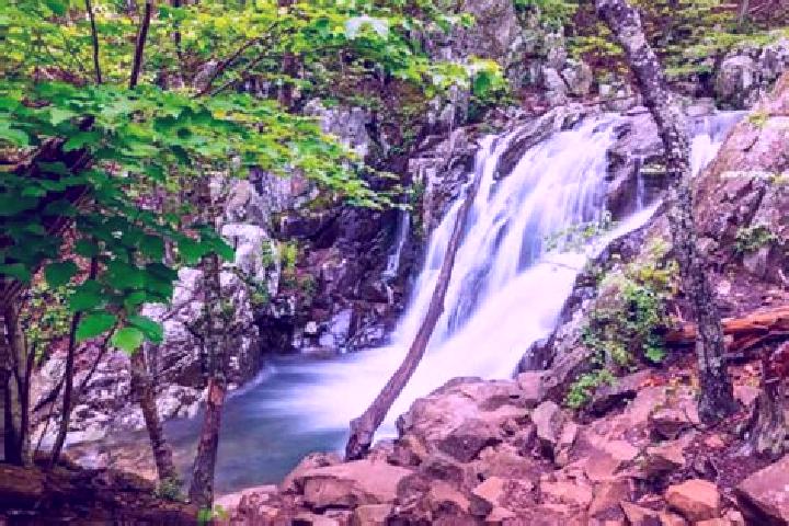 13 escort profiles in Shenandoah Heights, United States. Browse companions, services, rates and book online. Incall and outcall available.