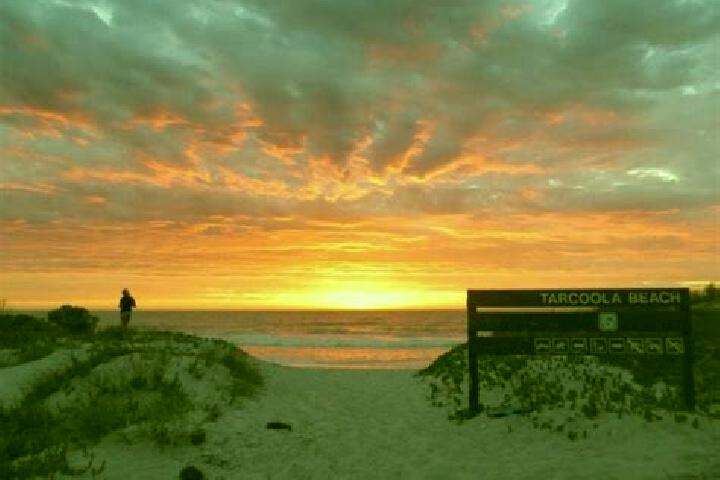 13 escort profiles in Tarcoola Beach, Australia. Browse companions, services, rates and book online. Incall and outcall available.