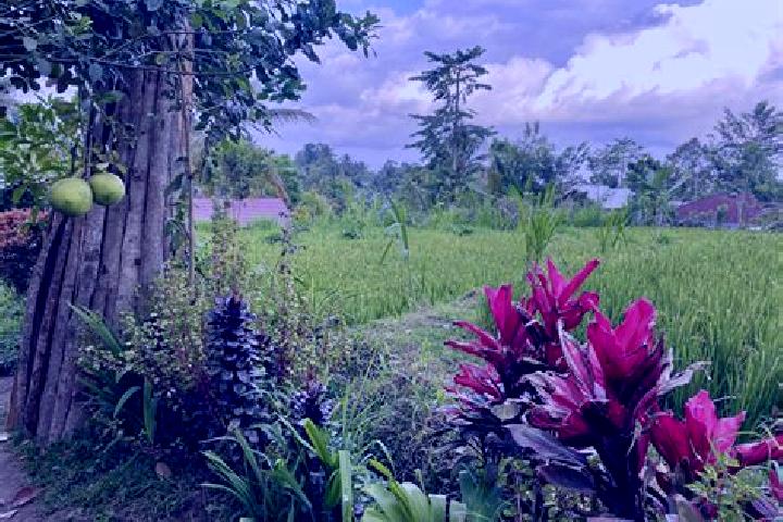 13 escort profiles in Tetebatu, Indonesia. Browse companions, services, rates and book online. Incall and outcall available.