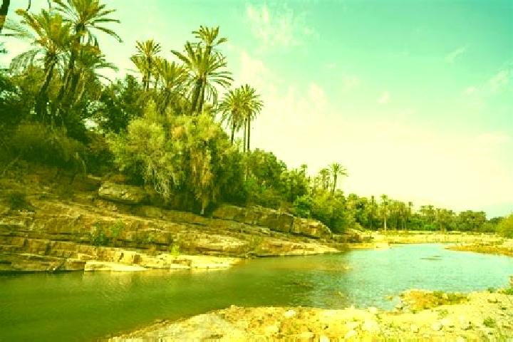13 escort profiles in Tiout, Morocco. Browse companions, services, rates and book online. Incall and outcall available.