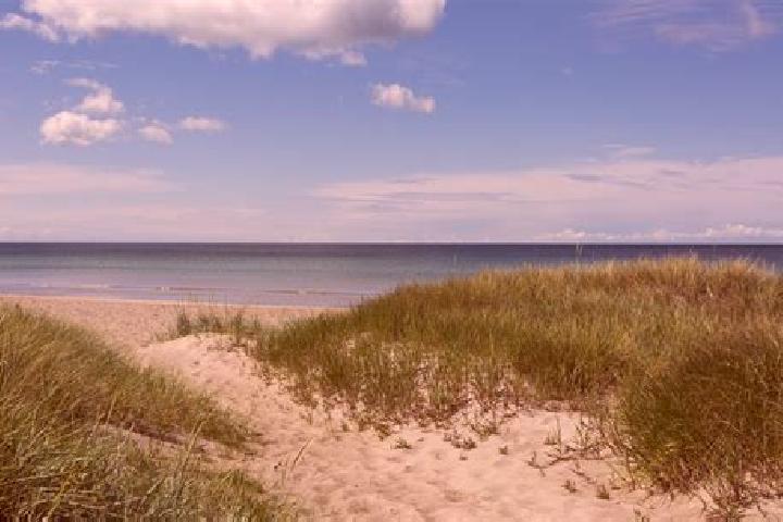 13 escort profiles in Tofta, Sweden. Browse companions, services, rates and book online. Incall and outcall available.
