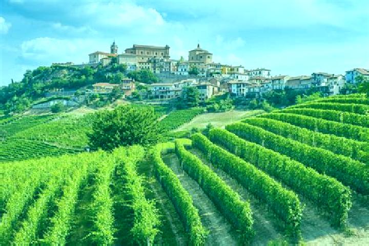 13 escort profiles in Voghera, Italy. Browse companions, services, rates and book online. Incall and outcall available.