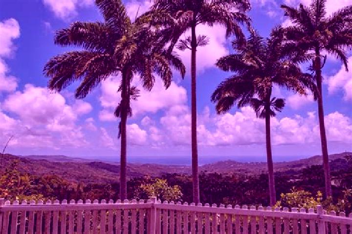 13 escort profiles in Welchman Hall, Barbados. Browse companions, services, rates and book online. Incall and outcall available.