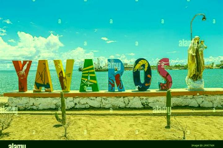 13 escort profiles in Yavaros, Mexico. Browse companions, services, rates and book online. Incall and outcall available.