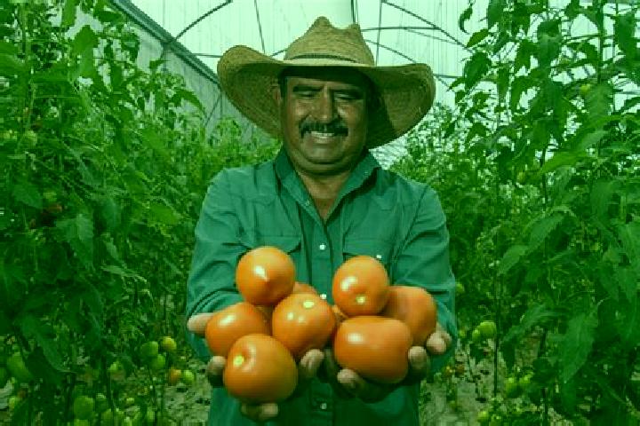 14 escort profiles in Agronomos Mexicanos, Mexico. Browse companions, services, rates and book online. Incall and outcall available.