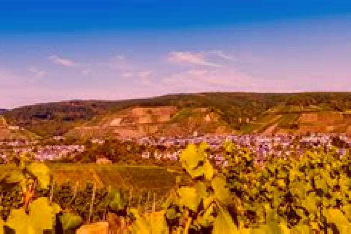 14 escort profiles in Bad Neuenahr-Ahrweiler, Germany. Browse companions, services, rates and book online. Incall and outcall available.