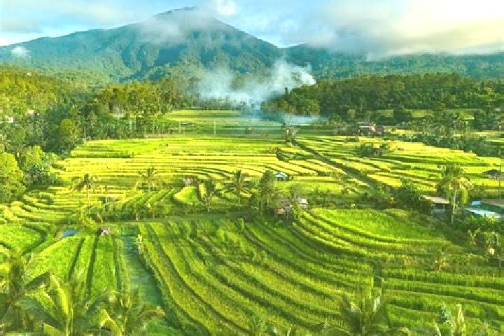 14 escort profiles in Banjar Ababi, Indonesia. Browse companions, services, rates and book online. Incall and outcall available.