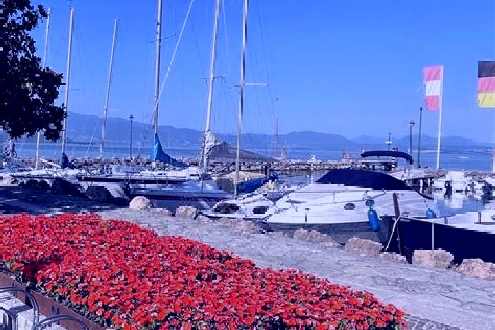 14 escort profiles in Bardolino, Italy. Browse companions, services, rates and book online. Incall and outcall available.